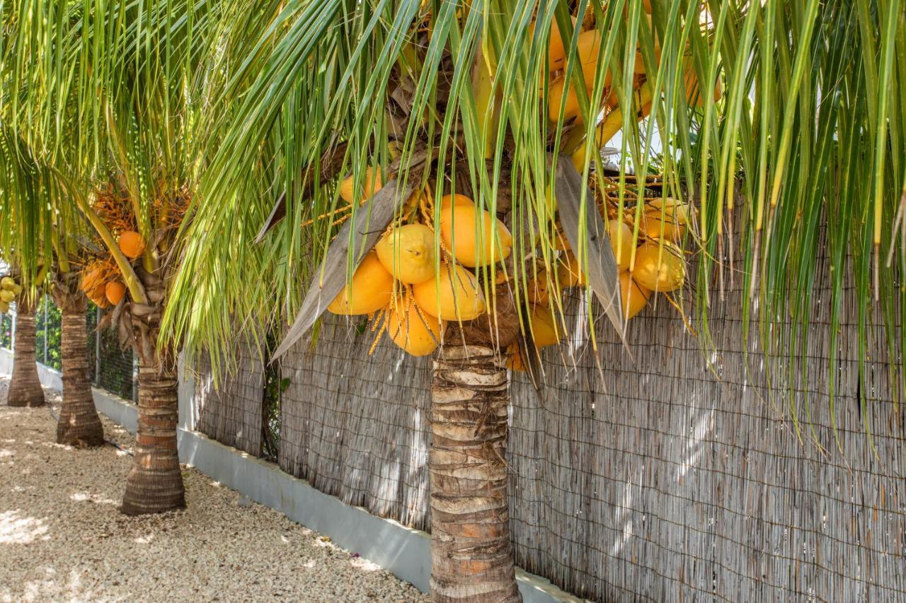 Paradise Apartments - Curacao Fontein 외부 사진