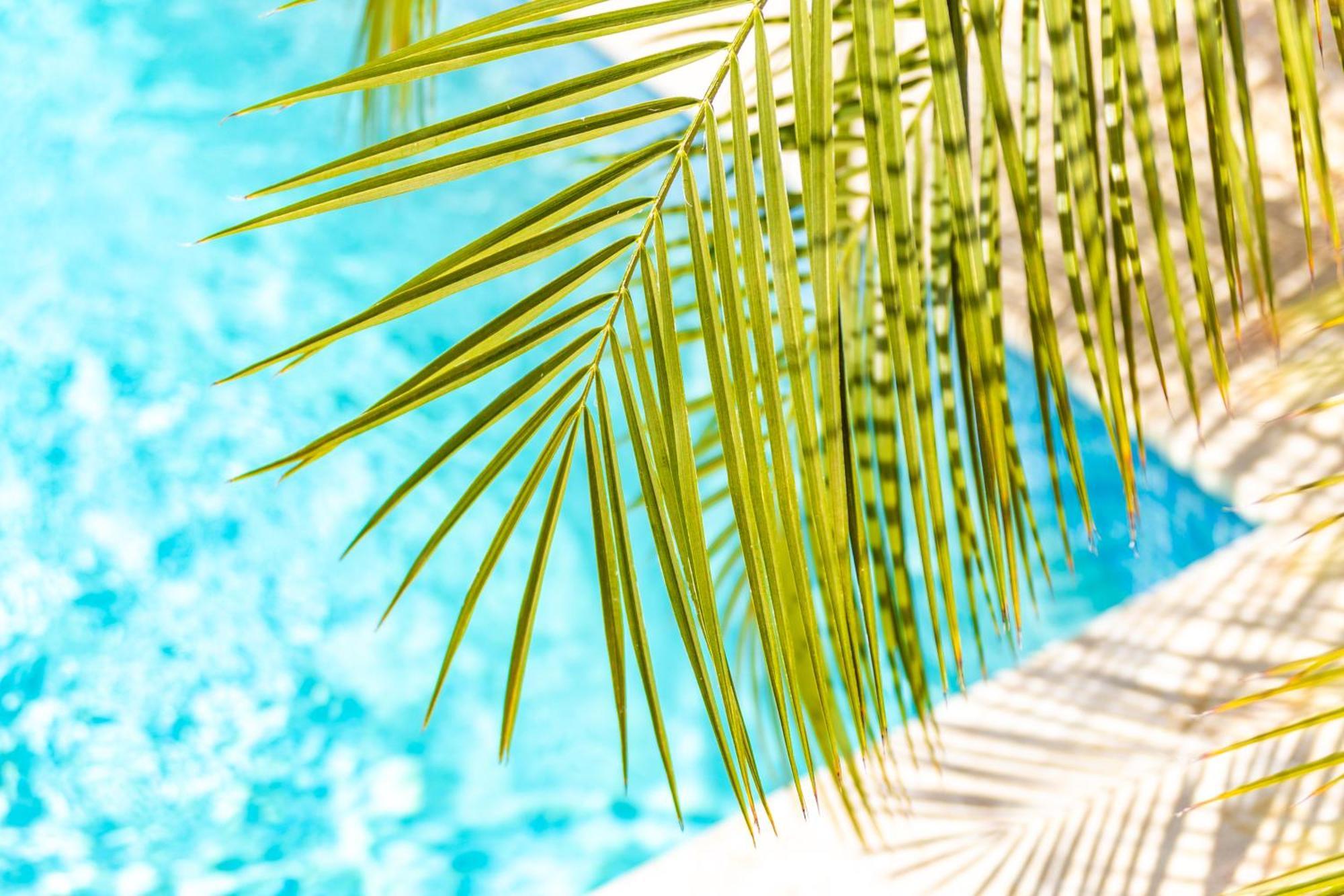 Paradise Apartments - Curacao Fontein 외부 사진